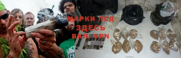 твердый Карпинск
