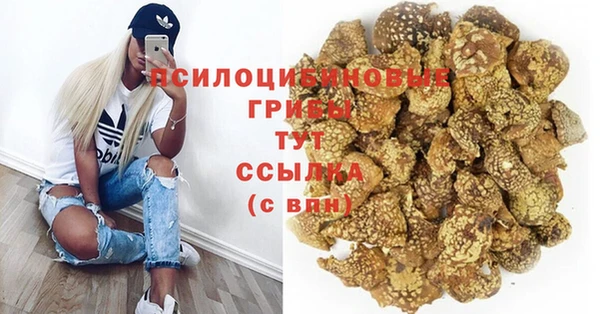 твердый Карпинск