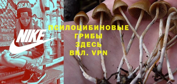 твердый Карпинск