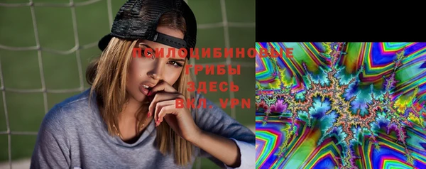твердый Карпинск