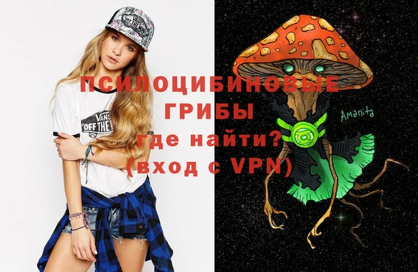 твердый Карпинск
