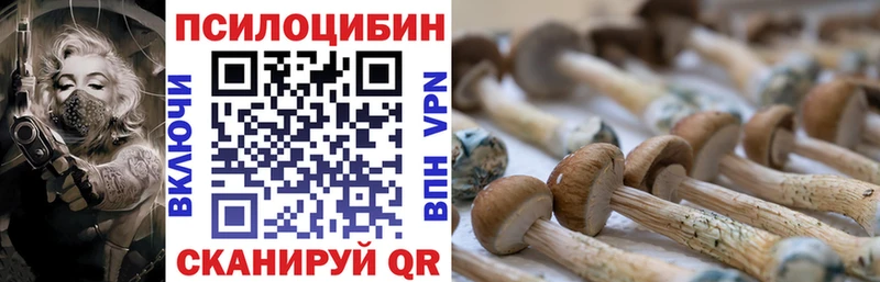 Галлюциногенные грибы GOLDEN TEACHER  Купить  Красноярск 